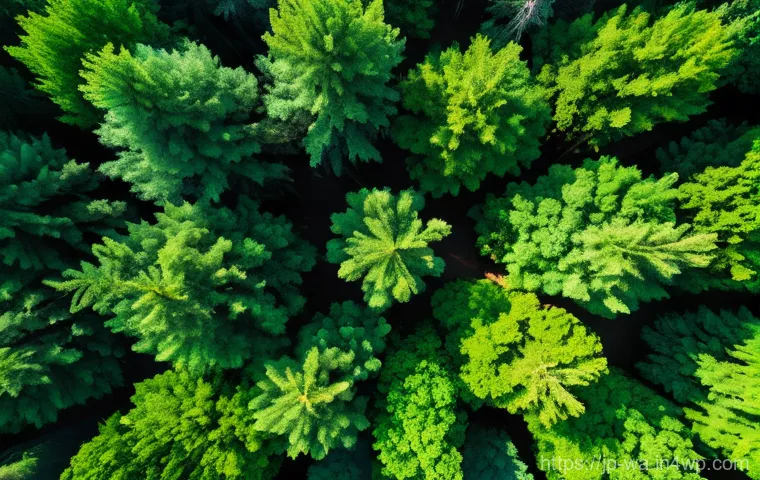 탄소 격리 식재 프로젝트의 지속 가능한 기술 - Image Prompt 1: Smart Forestry in Action**