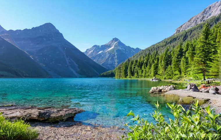 탄소 격리 식재의 지속 가능한 개발 목표 연계 - Here are three image prompts in English, designed to be detailed and adhere to all safety guidelines...