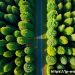 탄소 격리 식재의 효과적인 모니터링 기법 - A high-resolution aerial view captured by a drone flying over a dense, healthy carbon sequestration ...