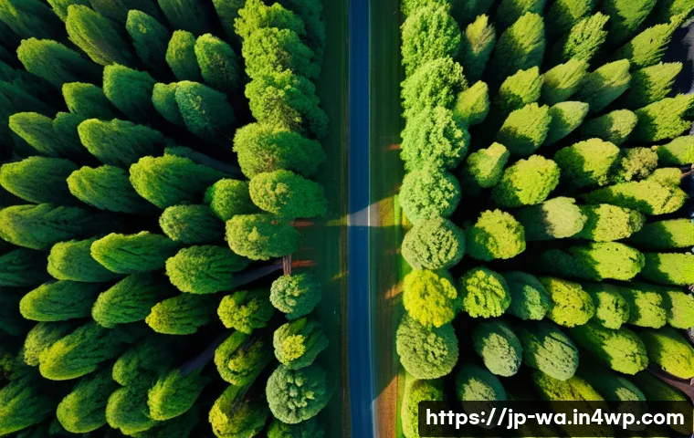 탄소 격리 식재의 효과적인 모니터링 기법 - A high-resolution aerial view captured by a drone flying over a dense, healthy carbon sequestration ...