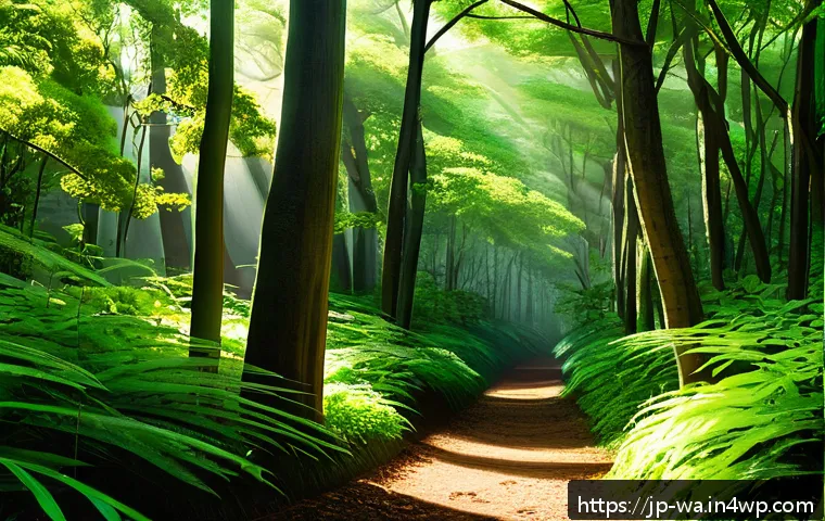 탄소 격리 식재 프로젝트의 지속 가능한 솔루션 - A lush temperate forest scene in a warm, humid region featuring diverse tree species such as camphor...